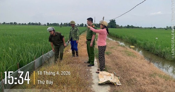 Cảnh báo nguy cơ chết người từ việc dùng điện bẫy chuột