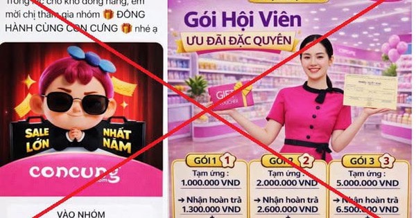 Người phụ nữ mất gần 1 tỷ đồng vì tham gia nhóm 'Đồng hành cùng Con Cưng' giả mạo