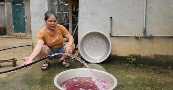 Phạt trang trại nuôi lợn hơn 400 triệu đồng vì xả thải vượt quy chuẩn