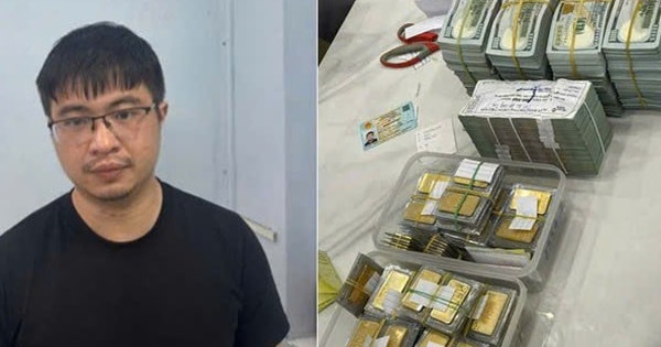 Điều tra bổ sung vụ 'Mr Pips' lừa đảo 1.300 tỷ đồng