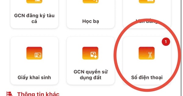 Không thấy số thuê bao di động trên VNeID cần làm gì?