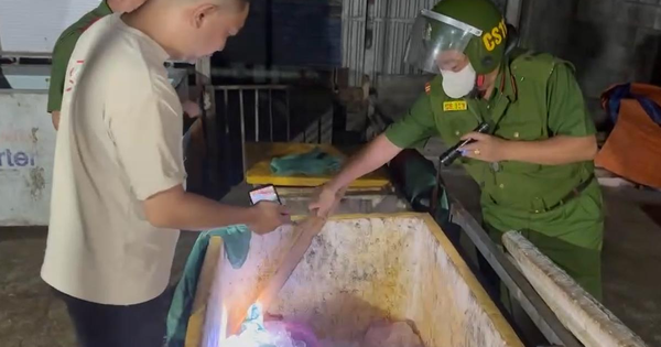 Phát hiện hơn 500kg thịt lợn hư hỏng, bốc mùi tại cơ sở giết mổ 'chui'