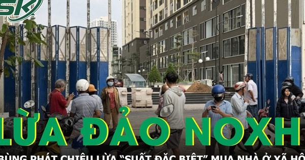 Bùng phát chiêu lừa 'suất đặc biệt' nhà ở xã hội