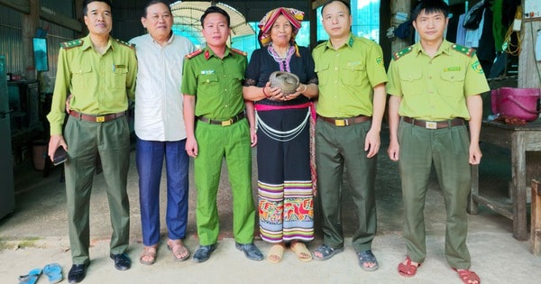 Phát hiện 'khách lạ' đi lạc vào vườn, người dân giao nộp tê tê quý hiếm