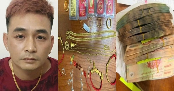 Bắt giữ 'siêu trộm' liên tỉnh chuyên phá két sắt, trộm tài sản hàng tỷ đồng