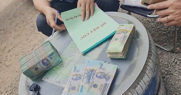Cần lưu ý gì khi đặt cọc mua đất để tránh mất tiền, kiện tụng?