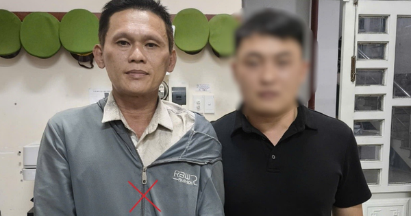 Chém mẹ vợ và vợ, Huỳnh Hoàng Anh ra đầu thú