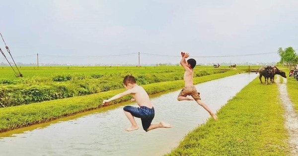 Vì sao nhiều trẻ biết bơi vẫn gặp tai nạn đuối nước thương tâm?