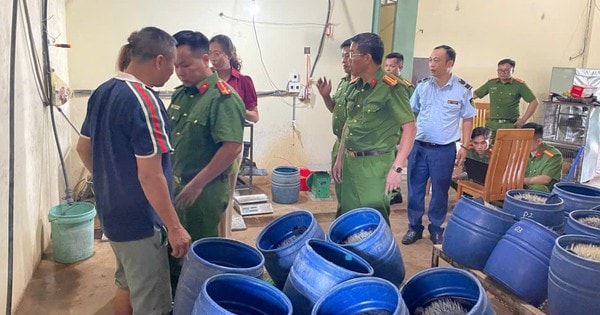 Phát hiện cơ sở sản xuất giá đỗ sử dụng chất cấm ở Hải Phòng
