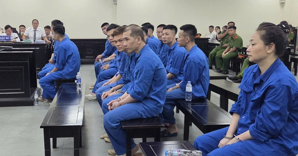Nhóm đối tượng lập tài khoản 'Huấn Hoa Hồng' để lừa đảo vay tiền