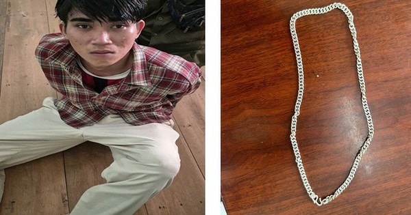 Bắt giữ Nguyễn Huệ giật dây chuyền của học sinh lớp 4 trước cổng trường