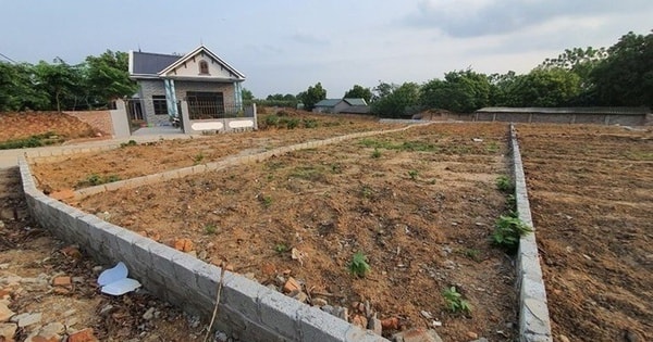 Chi tiết các mức thu tiền sử dụng đất khi chuyển sang đất ở