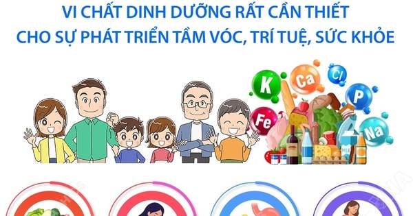 Vi chất dinh dưỡng rất cần thiết cho sự phát triển tầm vóc, trí tuệ, sức khỏe