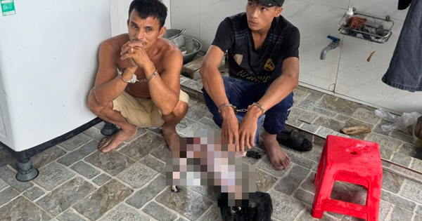 Săn 9 cá thể voọc bạc Đông Dương quý hiếm, 5 đối tượng bị tạm giữ hình sự