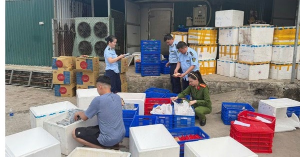Khởi tố giám đốc bán hàng chục nghìn sản phẩm thực phẩm giả
