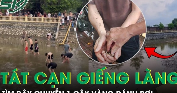 Hai vợ chồng tát cạn giếng làng để tìm dây chuyền gần 1 cây vàng đánh rơi