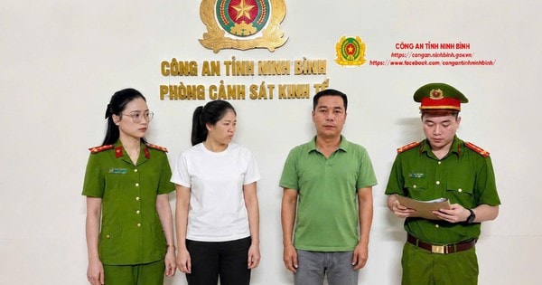 Ba Giám đốc bị khởi tố vì trốn thuế
