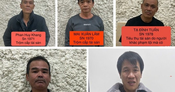 Triệt phá nhóm ‘cẩu tặc’ chuyên nghiệp, trộm hơn 120 con chó trong 5 tháng