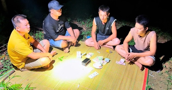 Khởi tố 8 đối tượng đánh bạc trên đồi quế