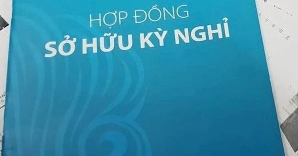 Lừa đảo bằng hợp đồng sở hữu kỳ nghỉ có thể bị xử lý thế nào?