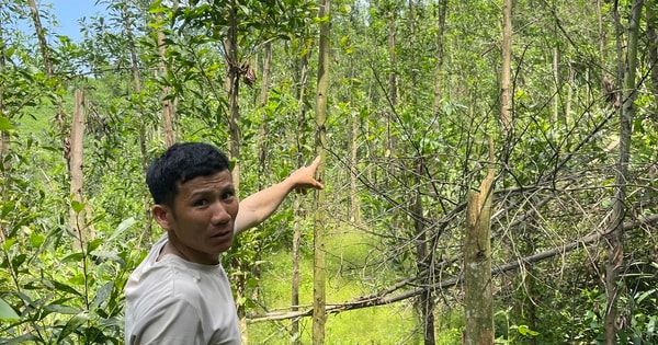 Thông tin mới vụ xã phải thu hồi gần 200 triệu đồng tiền hỗ trợ thiệt hại thiên tai