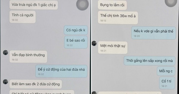 Mánh khóe tinh vi của người phụ nữ cầm đầu môi giới mang thai hộ, hiến trứng