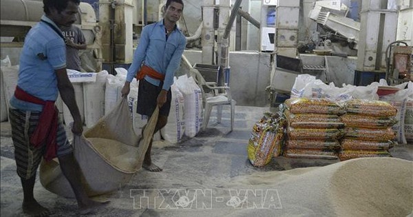 Thị trường nông sản: Giá cà phê thế giới phục hồi ấn tượng sau nhịp giảm