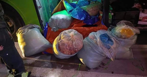 Phát hiện gần 500kg mỡ lợn bốc mùi thối đang trên đường đi tiêu thụ