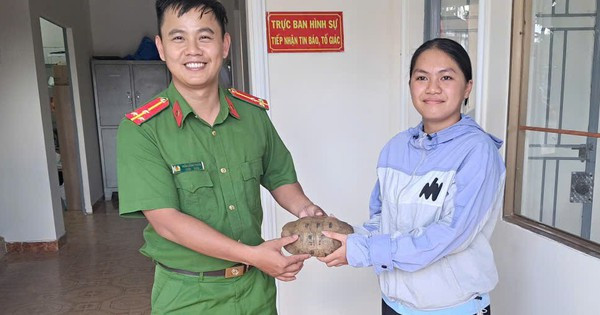 Phát hiện rùa núi vàng trong vườn, nữ sinh ở Lâm Đồng mang đến cơ quan công an