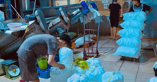 Đá viên giải nhiệt mùa hè: Sạch đến đâu?