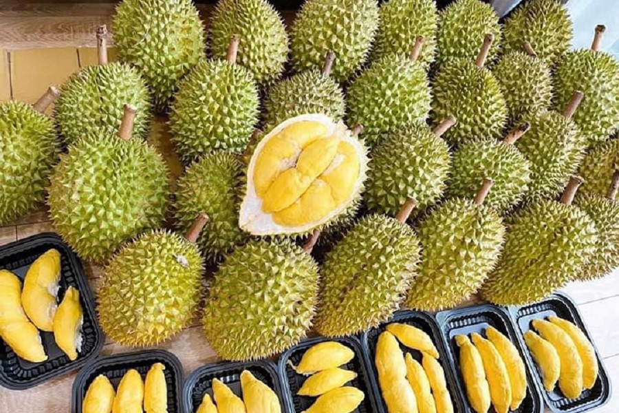 Giá sầu riêng hôm nay 28/6: Thị trường ổn định, sầu Thái đạt 78.000 đồng/kg