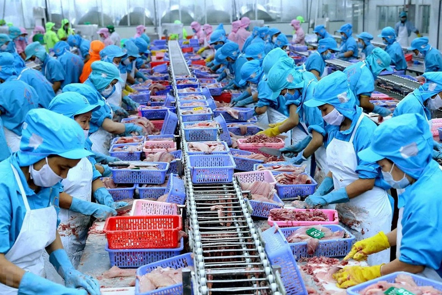 Xuất khẩu nông lâm thủy sản đạt 35,88 tỷ USD sau 6 tháng, rau quả tăng trưởng 17,7%
