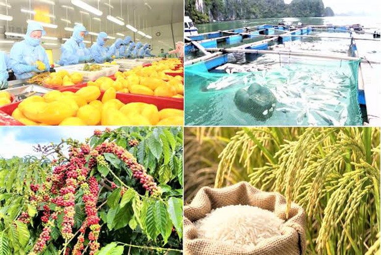 Xuất khẩu nông lâm thủy sản đạt 35,88 tỷ USD, thặng dư thương mại 9,2 tỷ USD