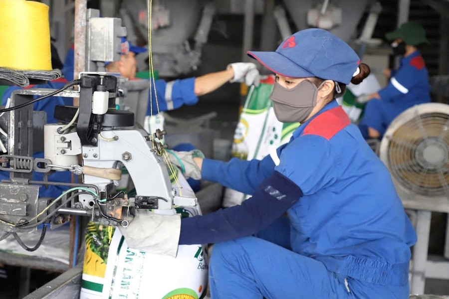 Xuất khẩu phân bón Việt Nam tăng 107% về giá trị trong 6 tháng đầu năm 2026