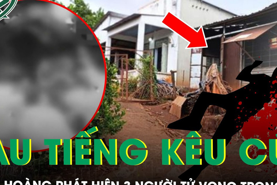 Tiếng kêu cứu lúc rạng sáng hé lộ vụ án mạng khiến 3 người tử vong ở Đồng Nai