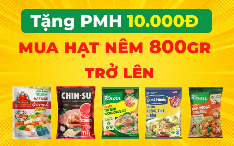 Cách nhận phiếu mua hàng 10.000 đồng mua hạt nêm gói lớn tại Bách hóa XANH