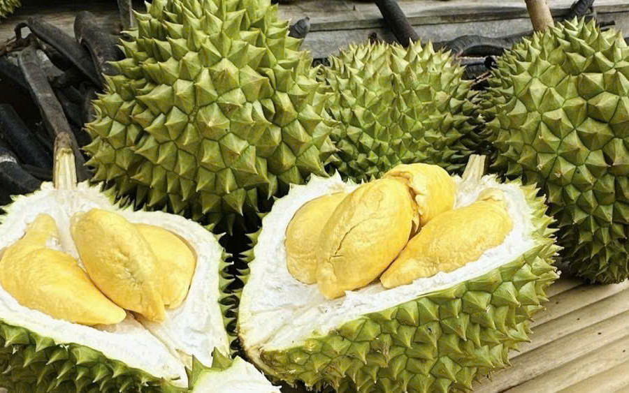 Giá sầu riêng ngày 6/8: Thị trường đi ngang, sầu Thái đẹp chạm mức 85.000 đồng/kg