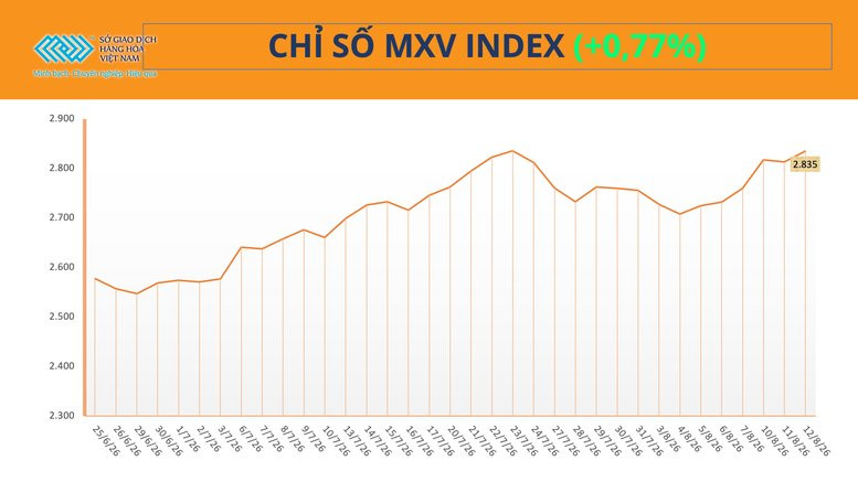 Chỉ số MXV-Index đảo chiều lên 2.834 điểm khi giá ngô CBOT vọt 4,4% cùng giá bạc tăng
