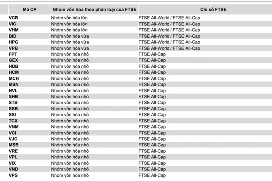 FTSE thêm 27 cổ phiếu Việt Nam vào rổ mới nổi: Kỳ vọng hút 2,2 đến 4,28 tỷ USD vốn ngoại