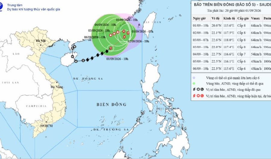 Tin bão số 5 mới nhất ngày 01/09/2026: Vùng gần tâm bão gió giật cấp 10, biển động mạnh
