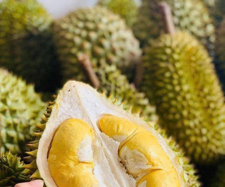 Giá sầu riêng ngày 4/9: Sầu Thái loại A tại Đắk Lắk tăng lên mức 80.000 - 85.000 đồng/kg